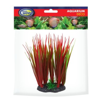 AQUA NOVA plastikinis augalas raudona/žalia 13cm