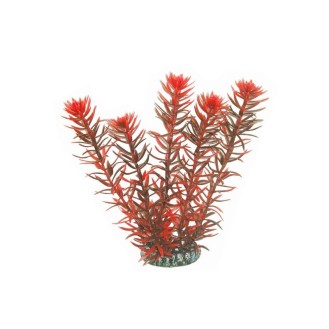 AQUA NOVA plastikinis augalas Rotala Indica 20cm
