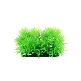 AQUA NOVA plastikinis augalas žolytė 4cm