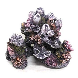 AMTRA REEF ROCK rifo akmuo MD3