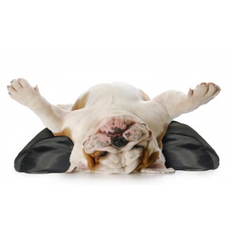 GF Stabilizatoriaus 10/75 užvalkalas XXL GF Stabilizatoriaus 10/75 užvalkalas XXL