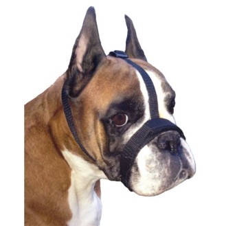 GF Reguliuojamas juostelių antsnukis L