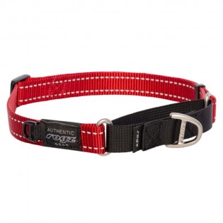 ROGZ Control Collar Red juostelinis smaugtukas 24-36cm HCW14C raudonas