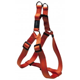 ROGZ petnešos SSJ06D