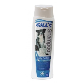 GILL'S ALGHE PROTEIN šampūnas (su augalų proteinu) 200ml (6)