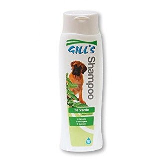 GILL'S GEEN TEA šampūnas (su žaliosios arbatos ekstraktu) 200ml (6)