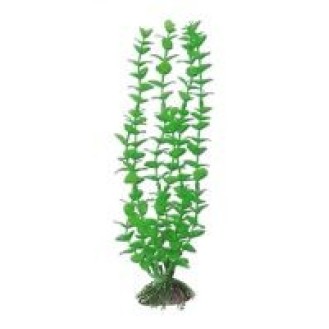 AMTRA ROTALA plastmasinis augalas vidutinis 17cm 1vnt