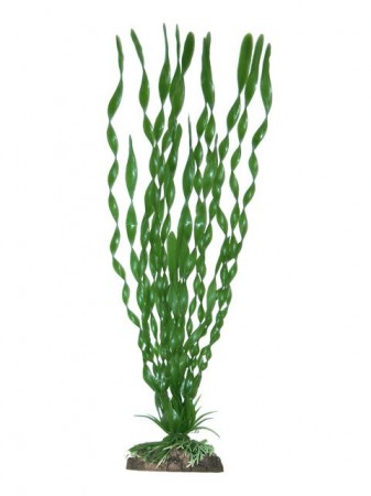 AMTRA VALISNERIA plastikinis augalas labai didelis 33cm 1vnt