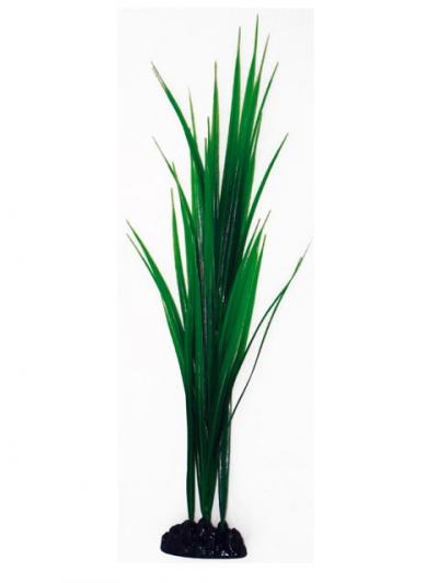 AMTRA BAMBOO augalas didelis 23cm 1vnt